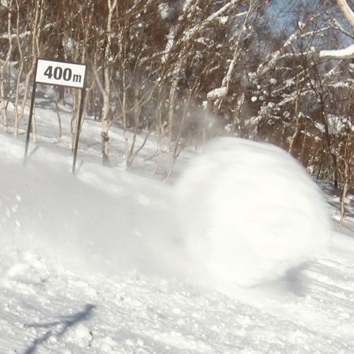 5年ぶり5回目となったDASH名物“巨大雪玉でスキー場をPR”。斜面を行きよいよく転がる雪玉“お雪”