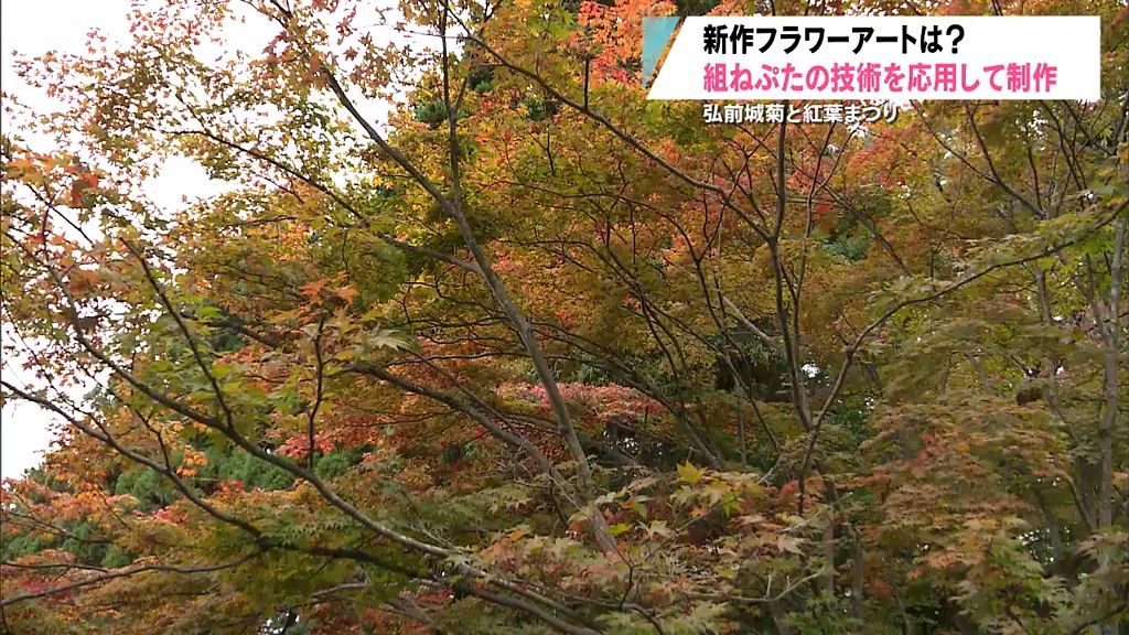 まもなく「弘前城菊と紅葉まつり」　50種類の花で彩られる２年ぶりの新作フラワーアートは？　青森県弘前市