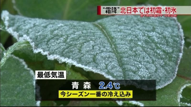 北日本で今季一番の冷え込み　初霜・初氷も