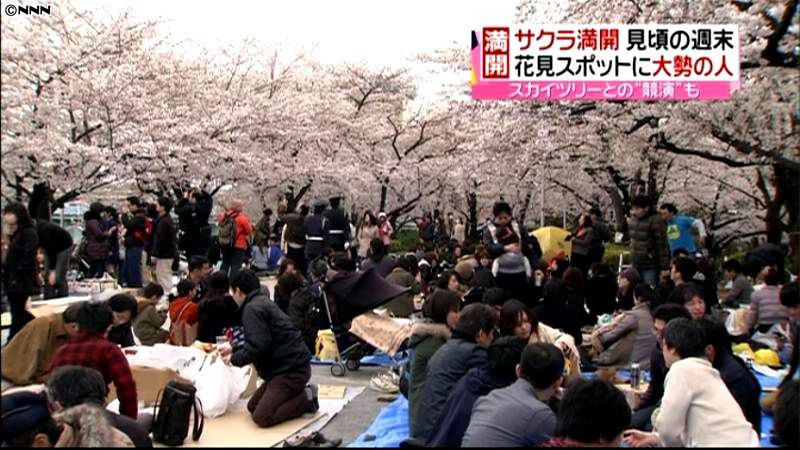 東京は桜満開！花見スポットは大にぎわい