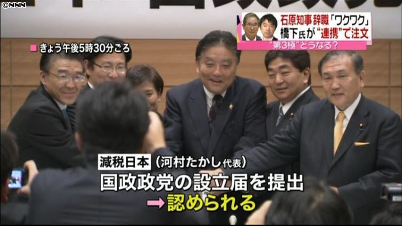 減税日本、国政政党に　総務省に設立届提出