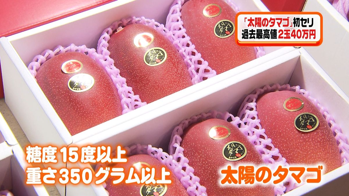 マンゴー「太陽のタマゴ」初競り４０万円！