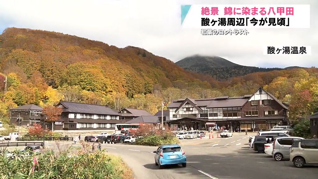 「何色あるのかしら」　今が見頃！錦に染まる八甲田の絶景　　青森県青森市