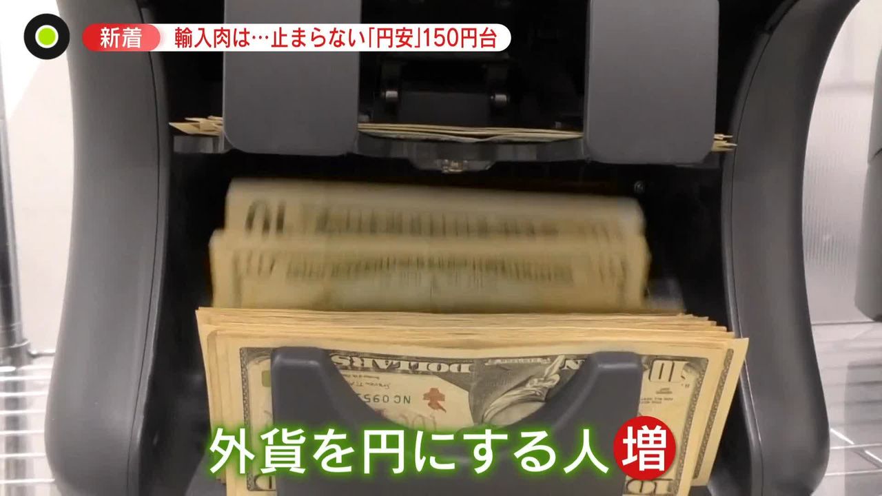 オファー 円安 輸入食器