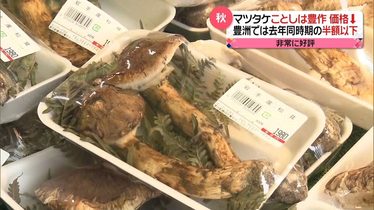 うれしい“お値段”マツタケが豊作価格で…｜日テレNEWS NNN