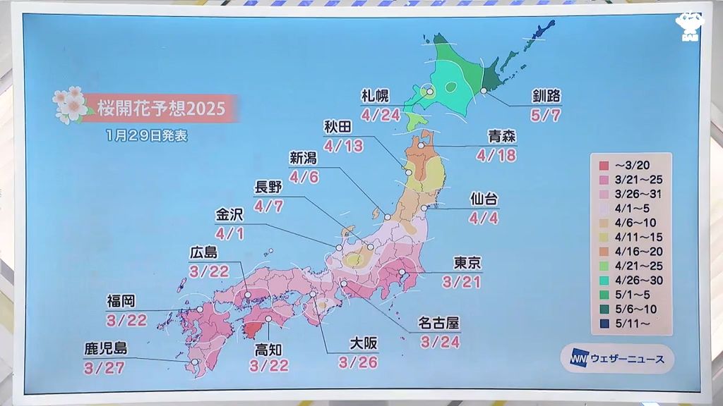 待ち遠しい“桜の便り”はいつ届く？　全国と青森県の開花予想発表！