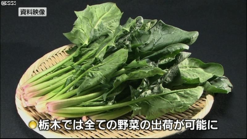 栃木県産、福島県産野菜の出荷制限解除
