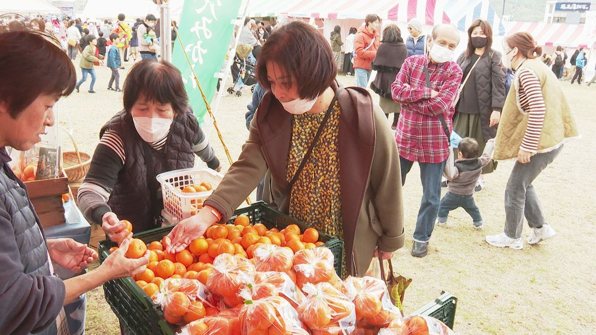 【ミカン】試食でギネス記録にも挑戦！やわたはま産業まつり【愛媛】