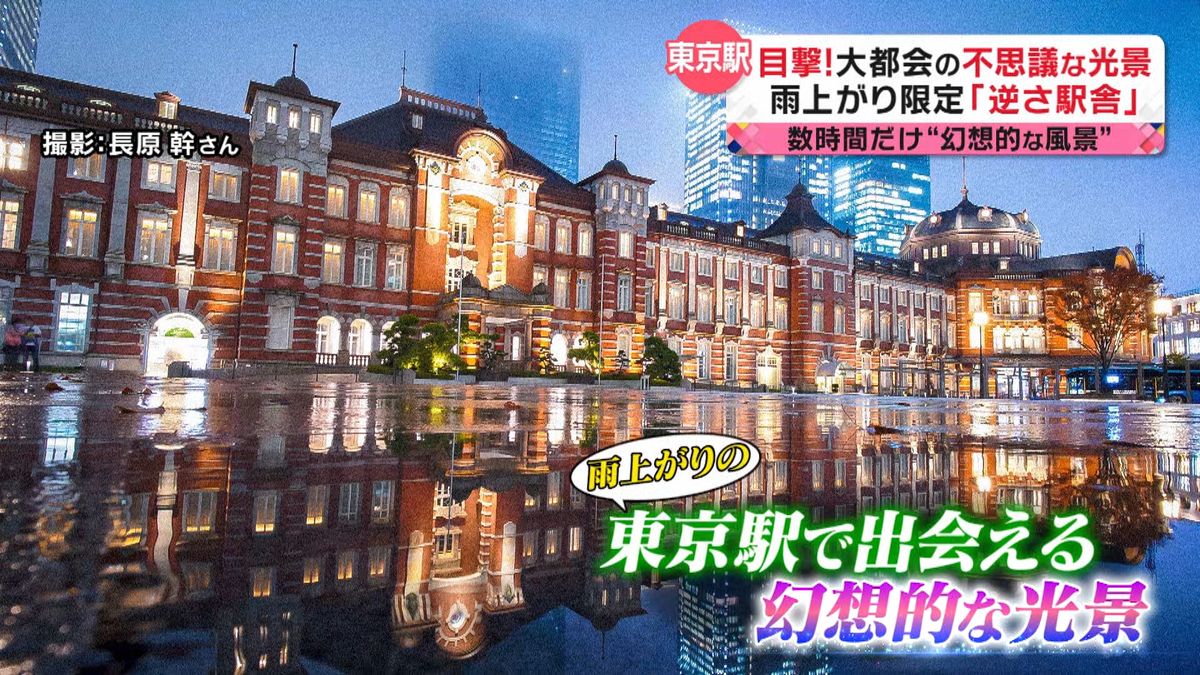 アナタの知らない大都会　目撃！東京不思議ビュー