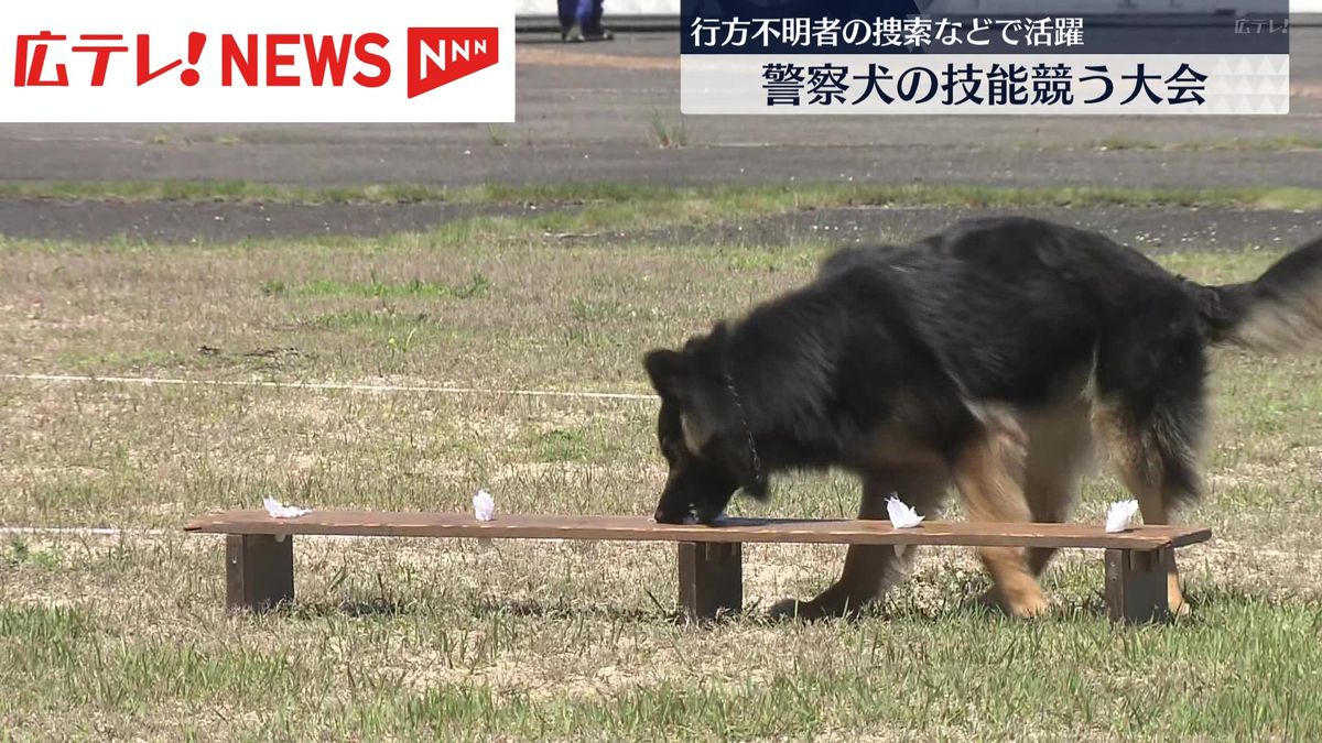 嘱託警察犬の能力や指導者の訓練技術を競う大会が開かれる　広島