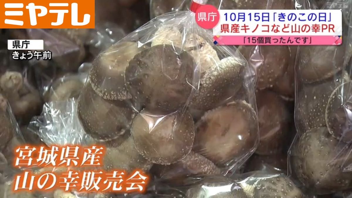 「シイタケの厚みが全然違う」秋の味覚・キノコなど「山の幸」の販売会（宮城県庁）