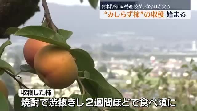 福島中央テレビ