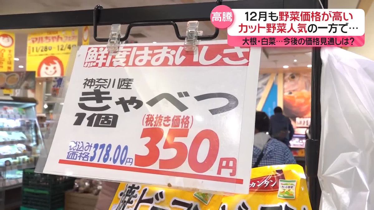 12月も野菜高騰　「カット野菜」人気の一方で…　製造側を悩ます“100円の壁”