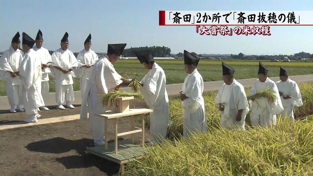 「大嘗祭」使用の米収穫「斎田抜穂の儀」