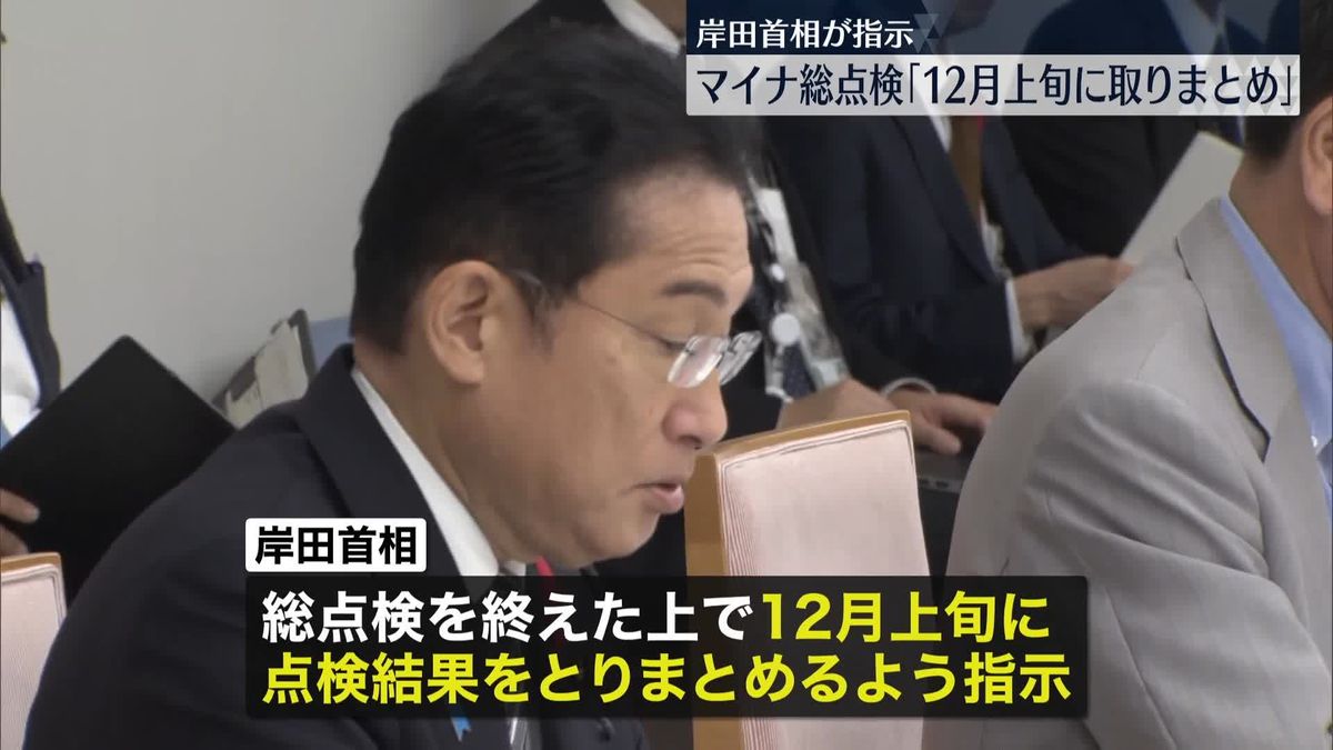 岸田首相が関係閣僚に指示　マイナ総点検結果｢12月上旬にとりまとめを｣ 