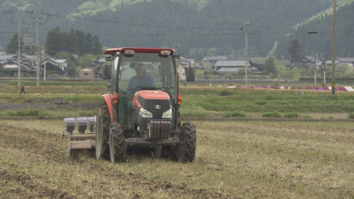 夏に味わえる“新そば”　丹南地区で「夏そば」栽培始まる　秋との二期作などで生産率アップ