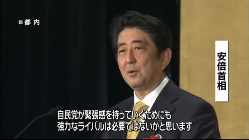 民主党、強力なリーダー誕生に期待～首相