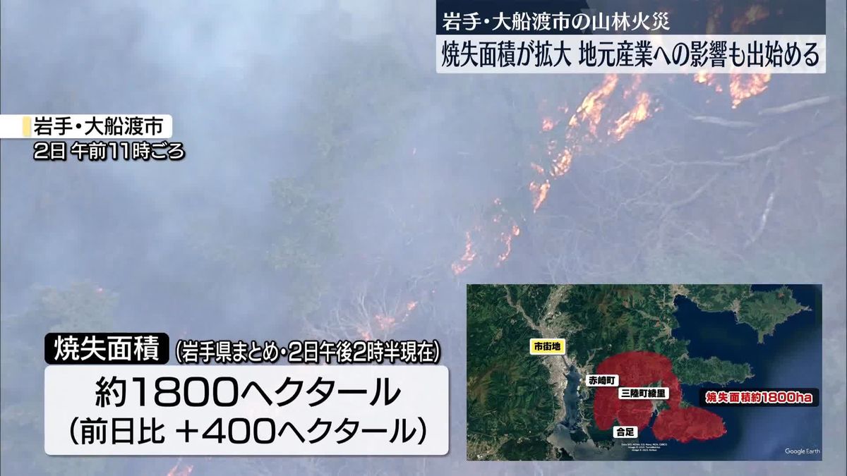 大船渡市の山林火災、焼失面積さらに拡大　地元産業へも影響