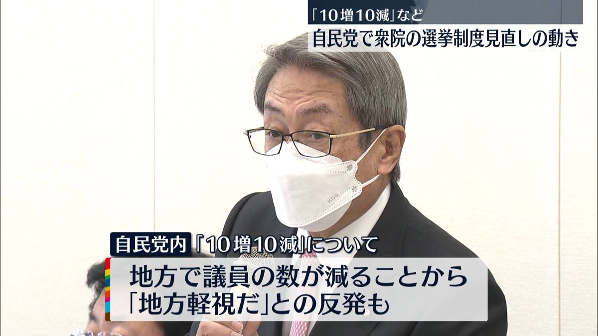 「10増10減」など　自民党で衆院選挙制度見直しの動き 