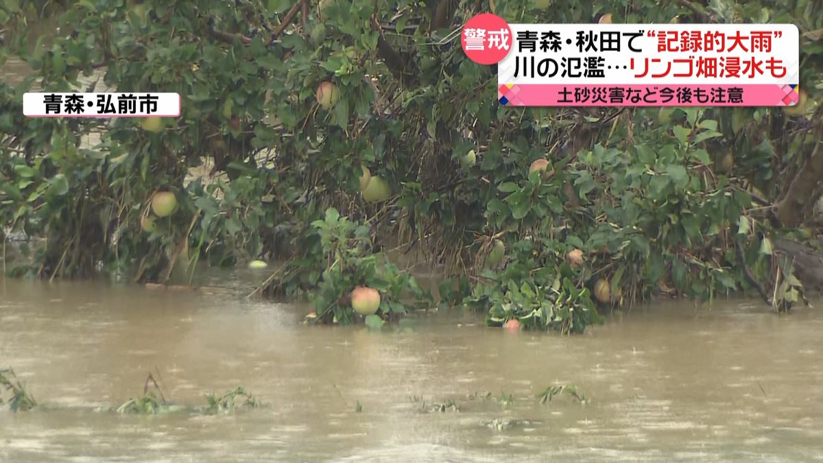 青森・秋田で“記録的大雨”　リンゴ畑が浸水も…土砂災害など今後も注意