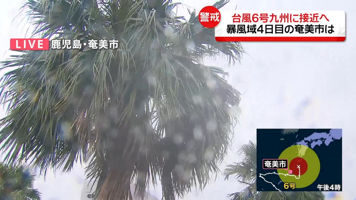 台風6号　暴風域4日目の奄美市から中継　9日朝にかけて鹿児島県本土と種子島・屋久島地方に最も接近する見込み