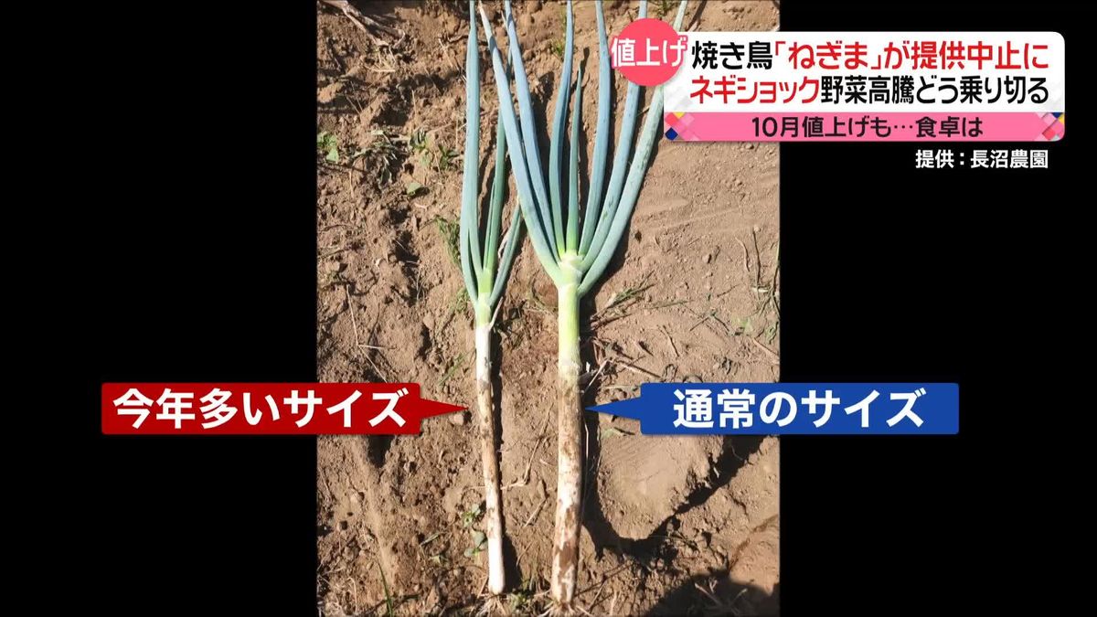 暑すぎた夏で…ネギの価格“1.5倍”　焼き鳥の定番「ねぎま」が消えた？　野菜高騰どう乗り切る