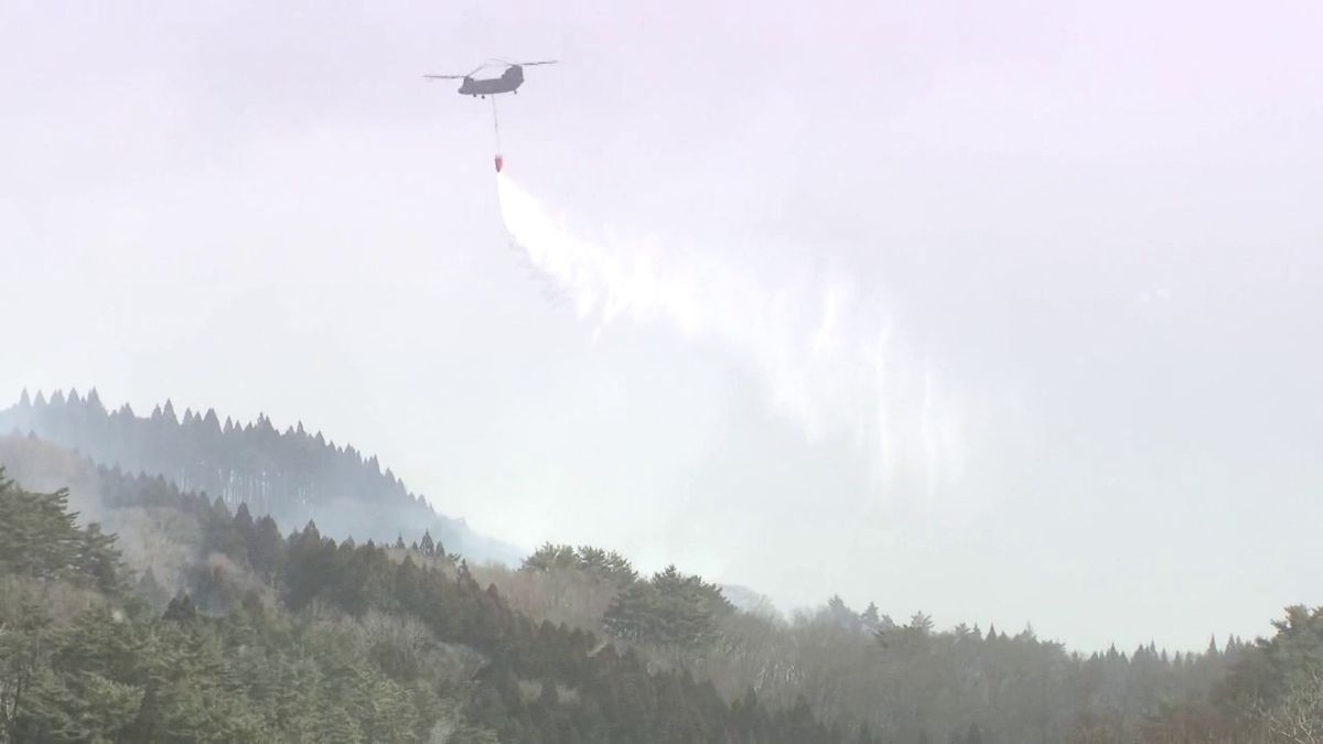 発生から4日目　大船渡三陸町綾里の山林火災　鎮圧に至らず