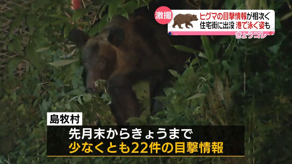 ヒグマ目撃相次ぎ…住宅街にも出没　北海道