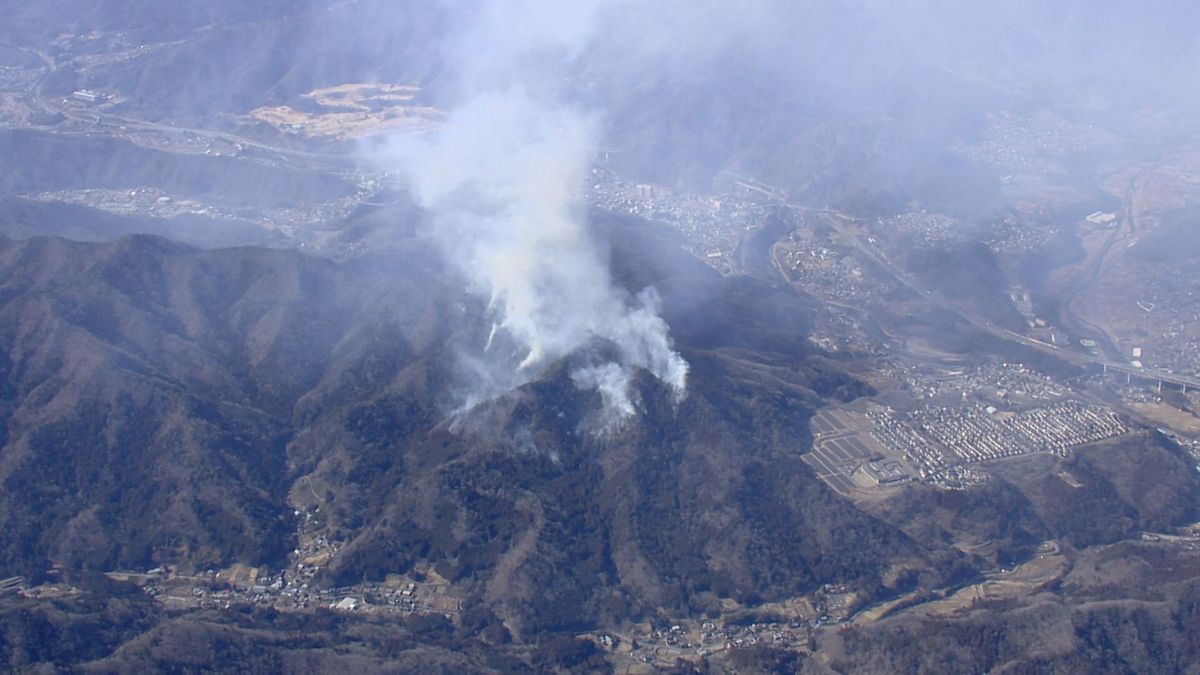 大月の山火事 枯れ草を燃やしたのは東京消防庁の職員 風にあおられ燃え広がる 山梨