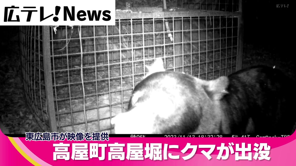 【クマ出没】設置カメラがツキノワグマの姿とらえる　東広島市高屋町　市担当者がパトロール