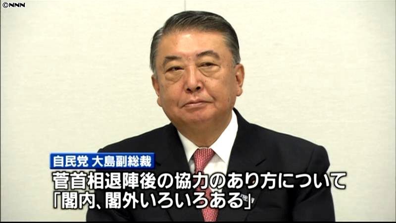 民主との協力は閣内、閣外いろいろ～大島氏