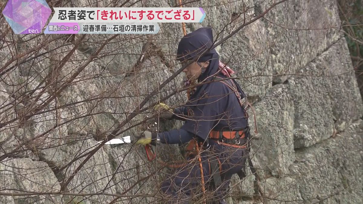 忍者姿で「きれいにするでござる！」“忍者の里”で迎春準備、水口城跡の石垣の除草作業　滋賀・甲賀市