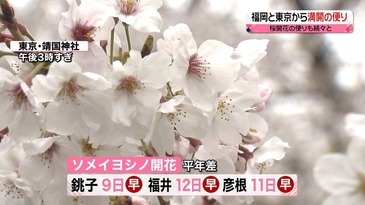 【天気】２３日は洗濯日和…桜も各地で見頃