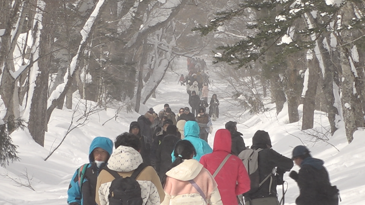 延べ90億人が大移動？！「春節」の大型連休　中国から信州へ　雪の中の散策が目的　戸隠目指し大行列も！