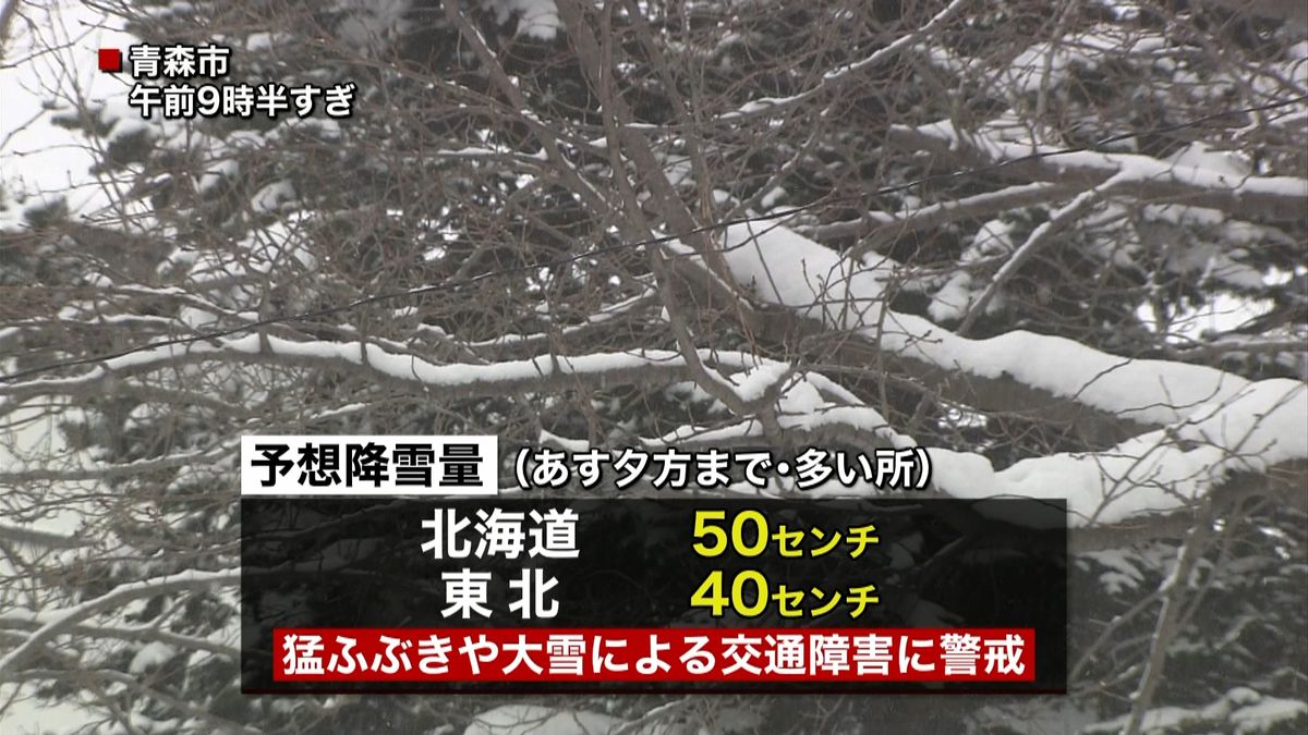 北日本の日本海側中心　暴風雪に警戒を