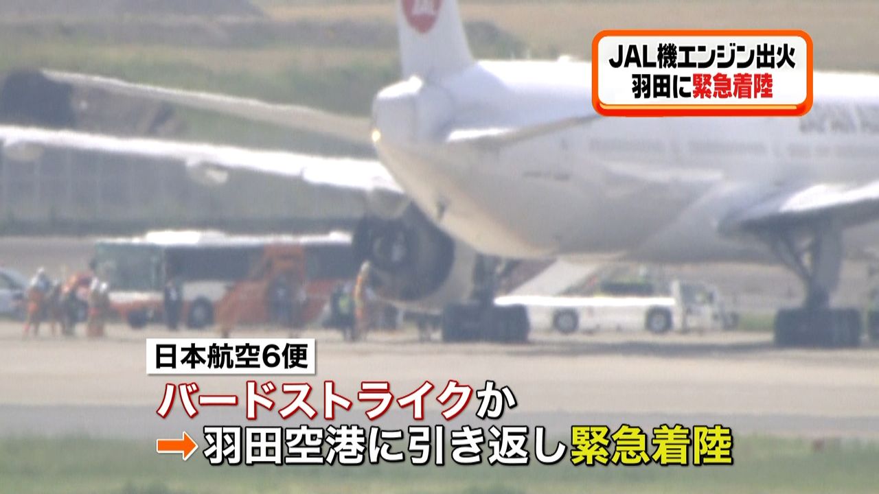 ＪＡＬ機が緊急着陸 バードストライクか｜日テレNEWS NNN