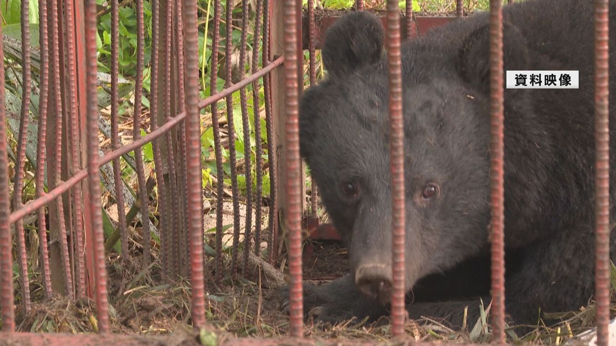 冬季間の人的被害は山形県内で初めて　鶴岡市の山中で70代男性がクマに襲われけが