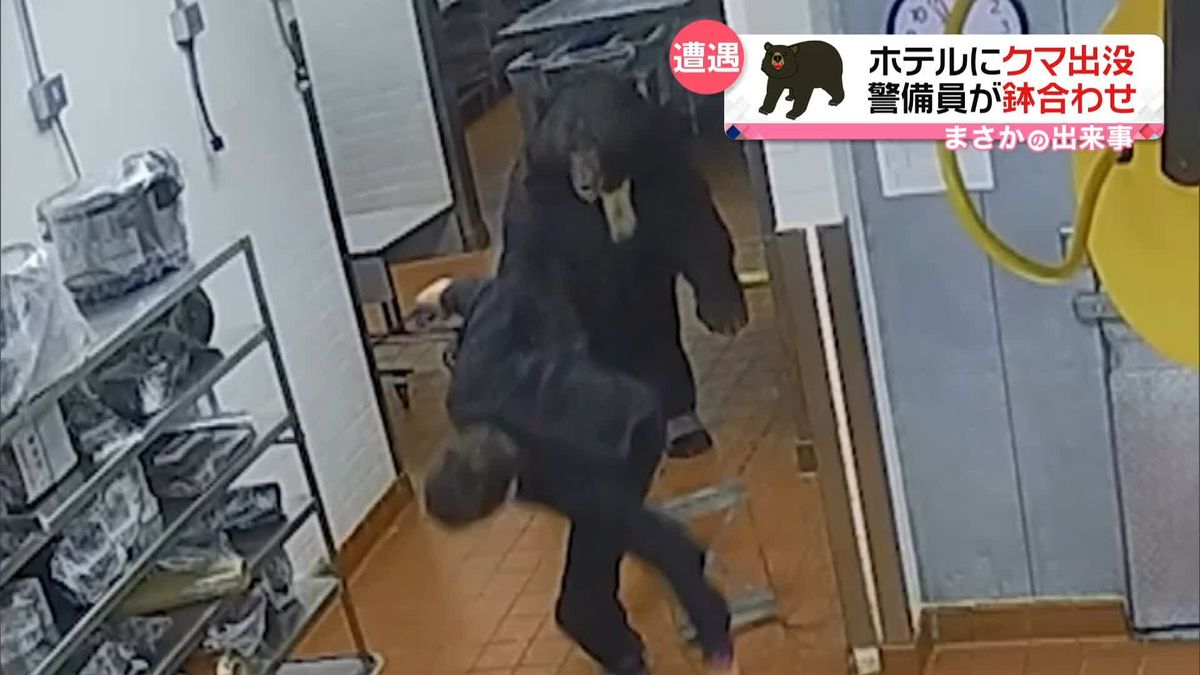 ホテルにクマ出没　警備員が鉢合わせ　背中をはたかれ…ぶっ飛ばされ　アメリカ・コロラド州