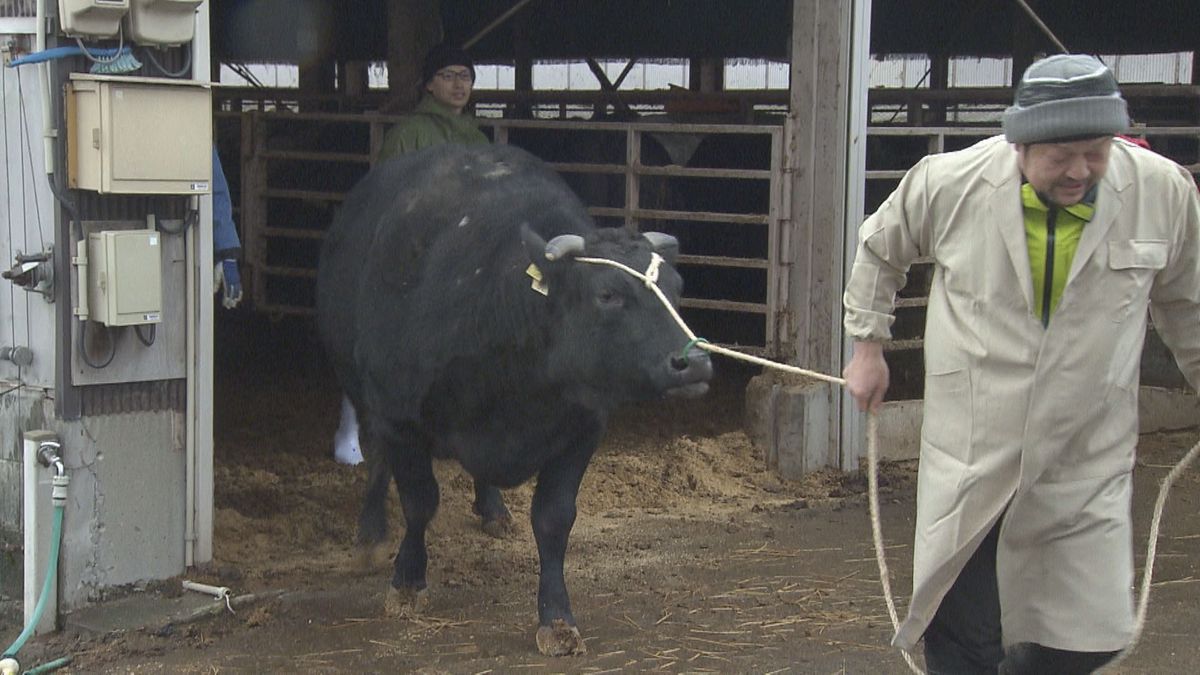 福井県のブランド牛「若狭牛」を初めて台湾へ輸出 とろけるおいしさ評価が楽しみ