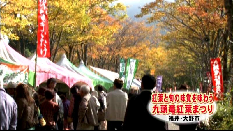 「九頭竜紅葉まつり」で秋満喫　大野市