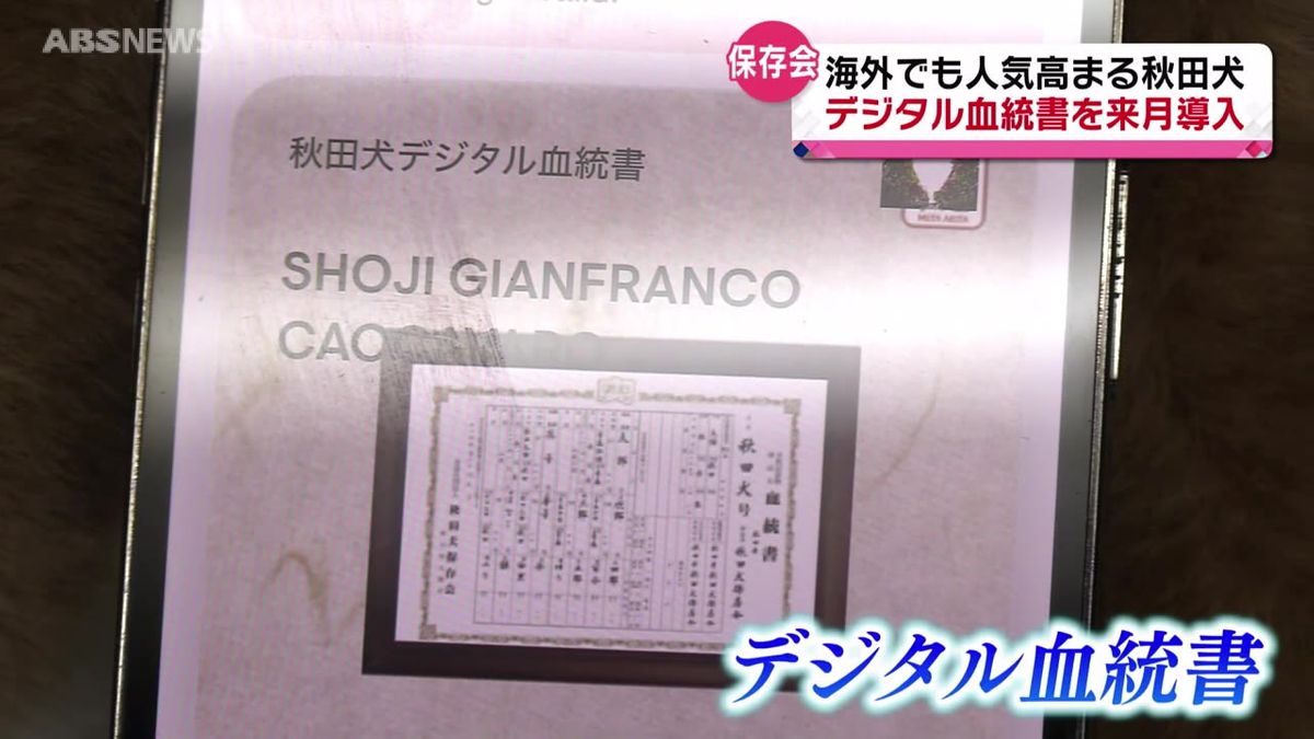 秋田犬保存会　デジタル血統書を導入へ