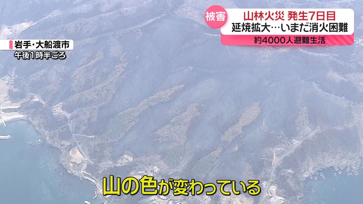 大船渡山林火災、発生7日目　延焼続く…約4000人避難生活　「降ってほしい」あすから雪、鎮圧つながるか