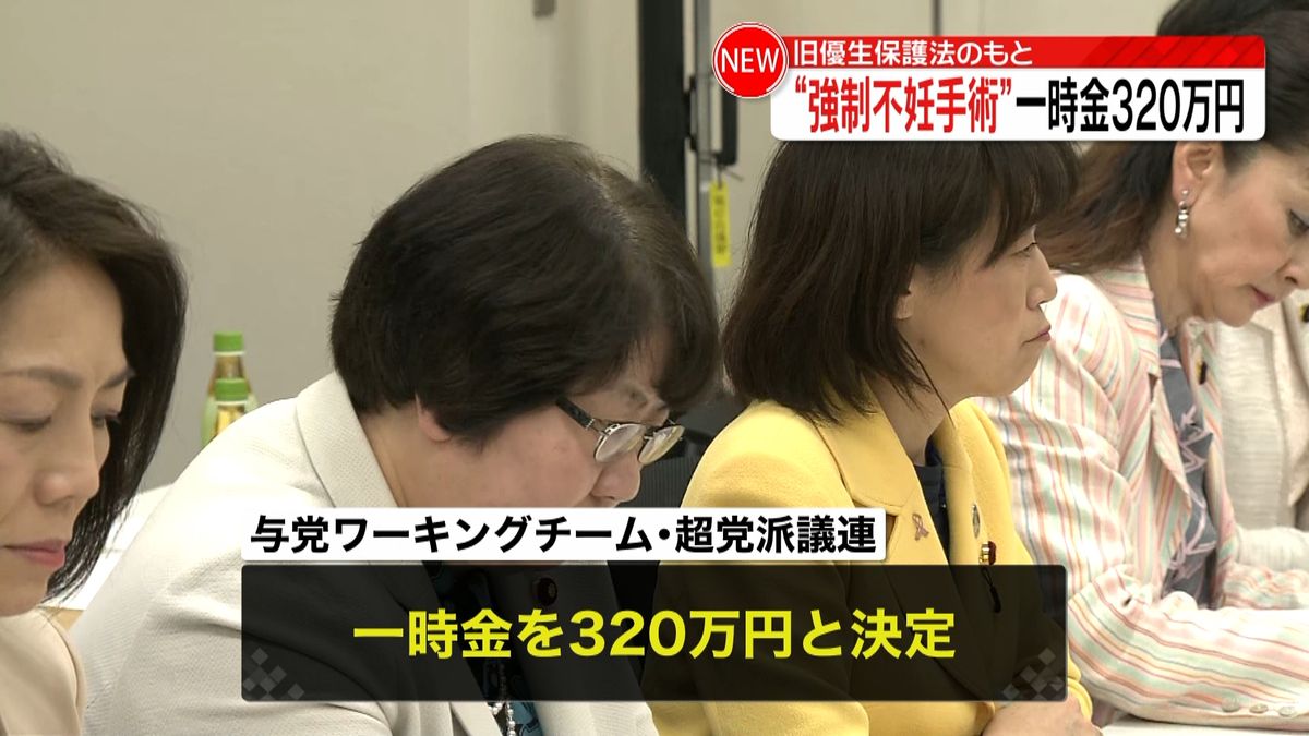 旧優生保護法“救済法案”一時金支払いへ