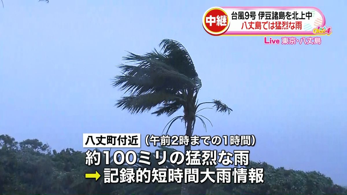 台風９号　八丈島で１時間に１００ミリの雨