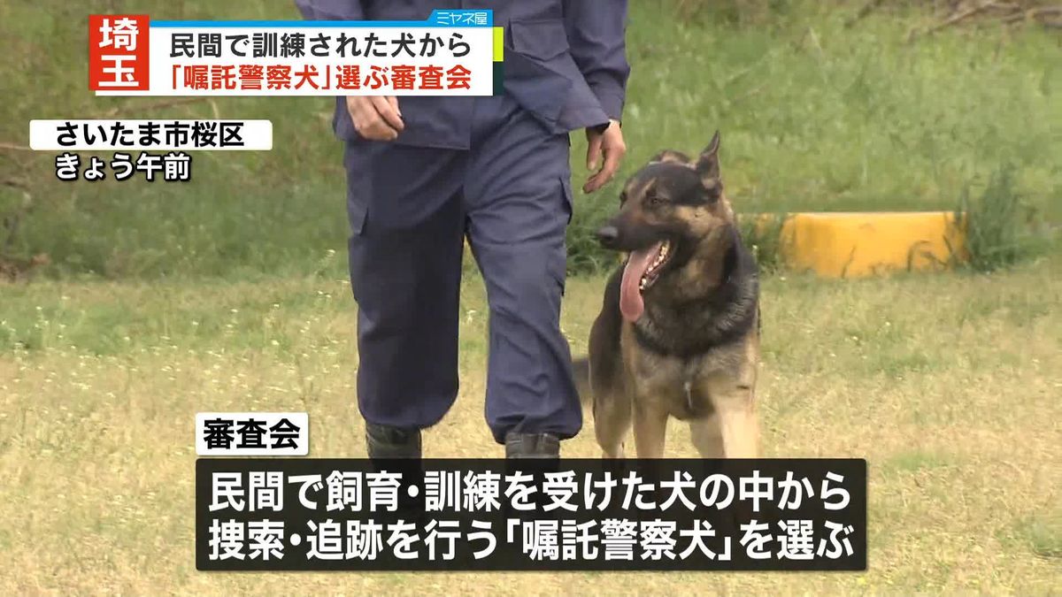 埼玉県警　民間で訓練された犬から「嘱託警察犬」選ぶ審査会