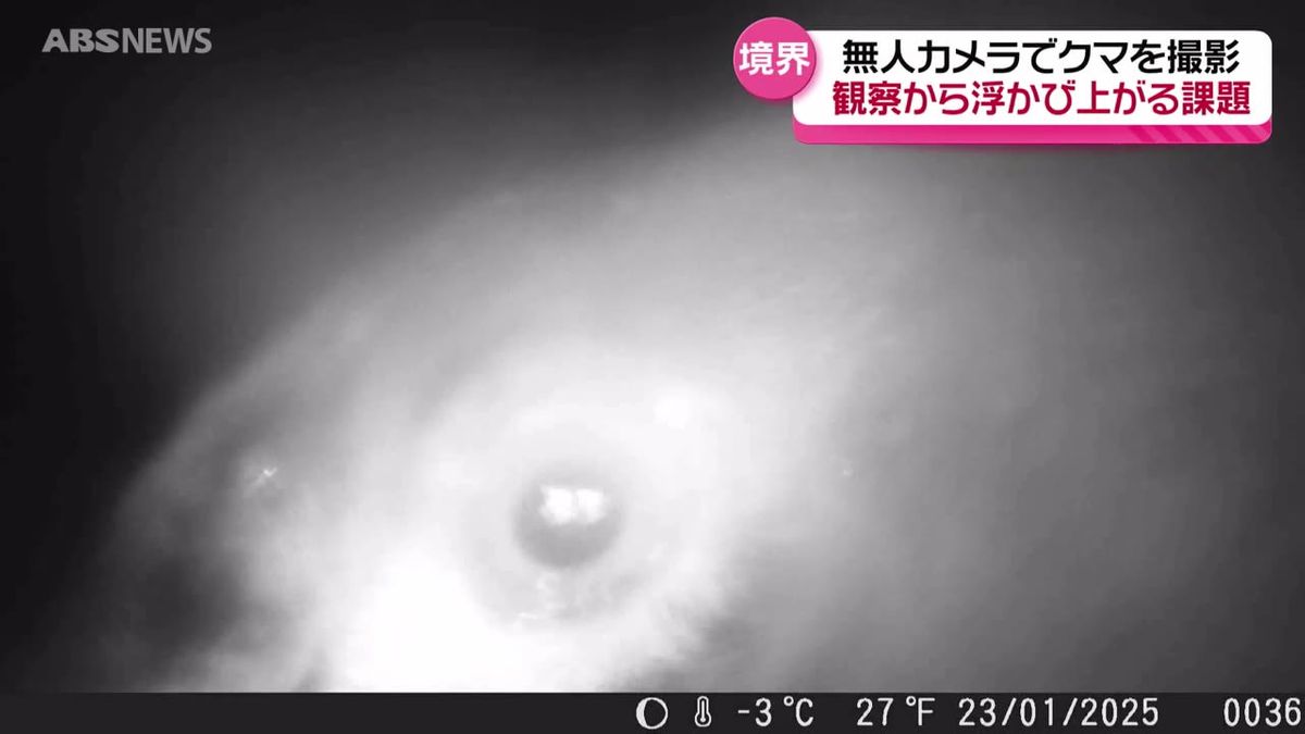 【特集】冬眠しないクマ　無人カメラがとらえた姿から浮かび上がる課題とは　"クマリテラシー"を考える