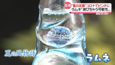 滅びる可能性も 夏の定番 コロナ禍で