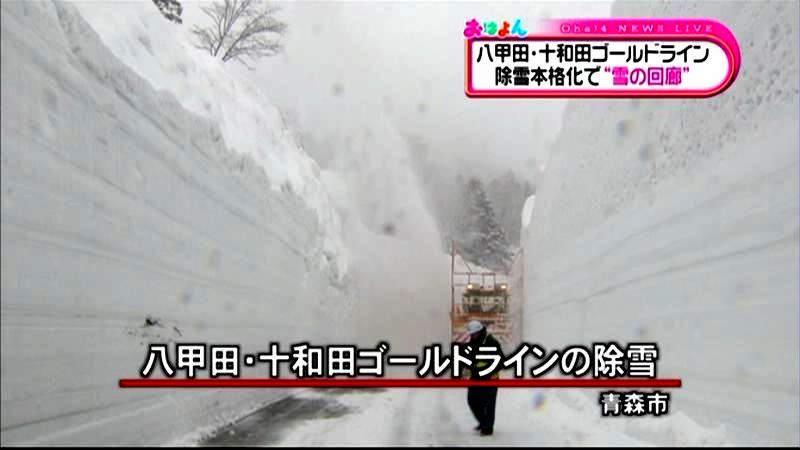 青森“雪の回廊”除雪が本格化