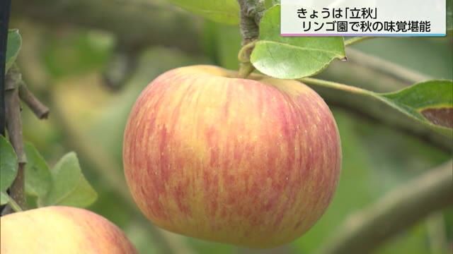 ８月７日は「立秋」　都城市の多田りんご園で秋の味覚を堪能