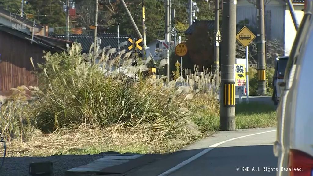 クマ目撃の朝日町で　町や警察などが捕獲へ　富山